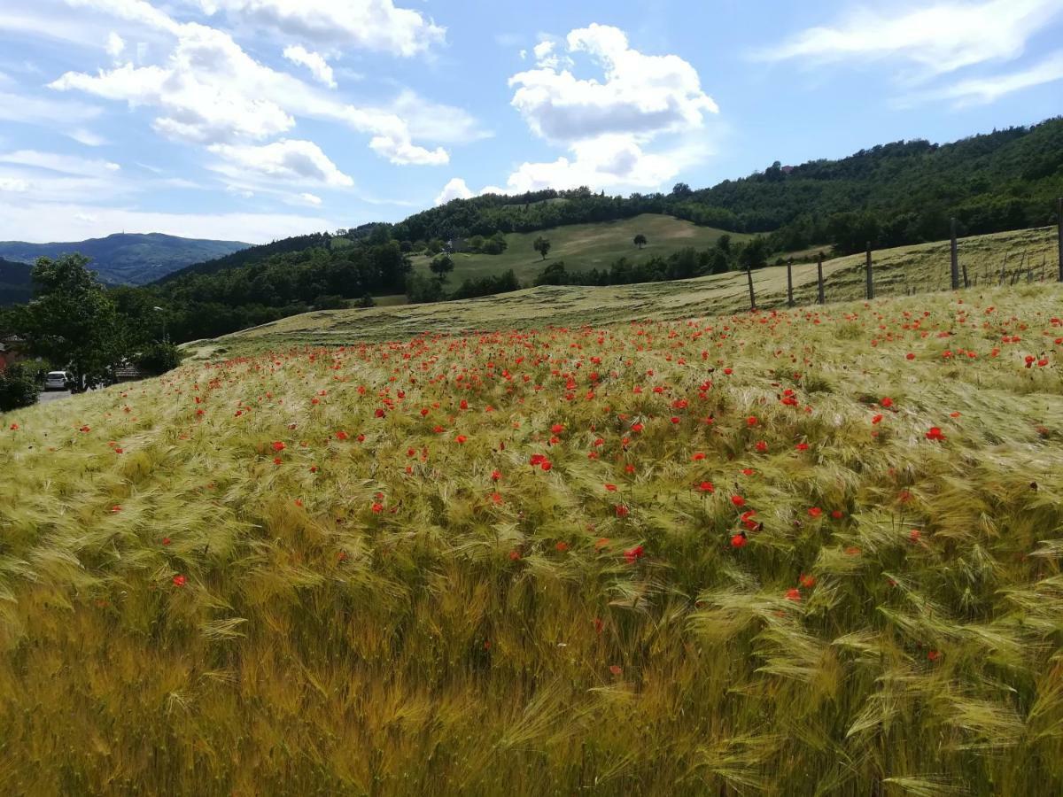 Vila La Cartiera Dei Benandanti Monghidoro Exteriér fotografie