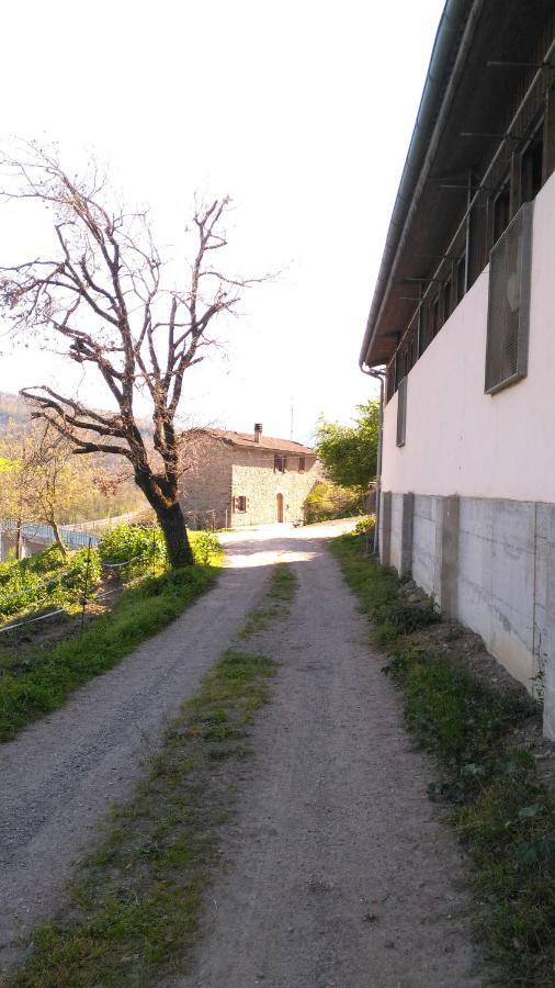 Vila La Cartiera Dei Benandanti Monghidoro Exteriér fotografie
