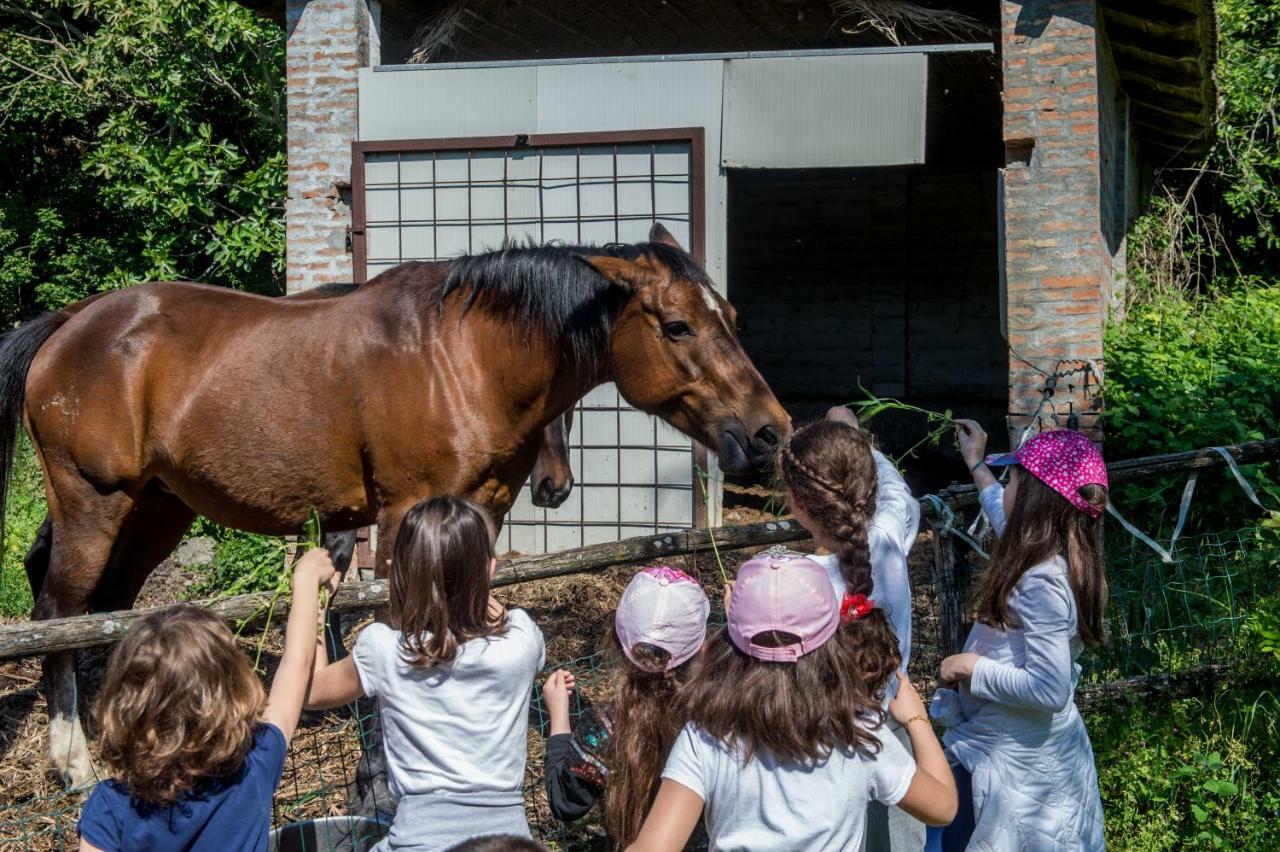 Vila La Cartiera Dei Benandanti Monghidoro Exteriér fotografie